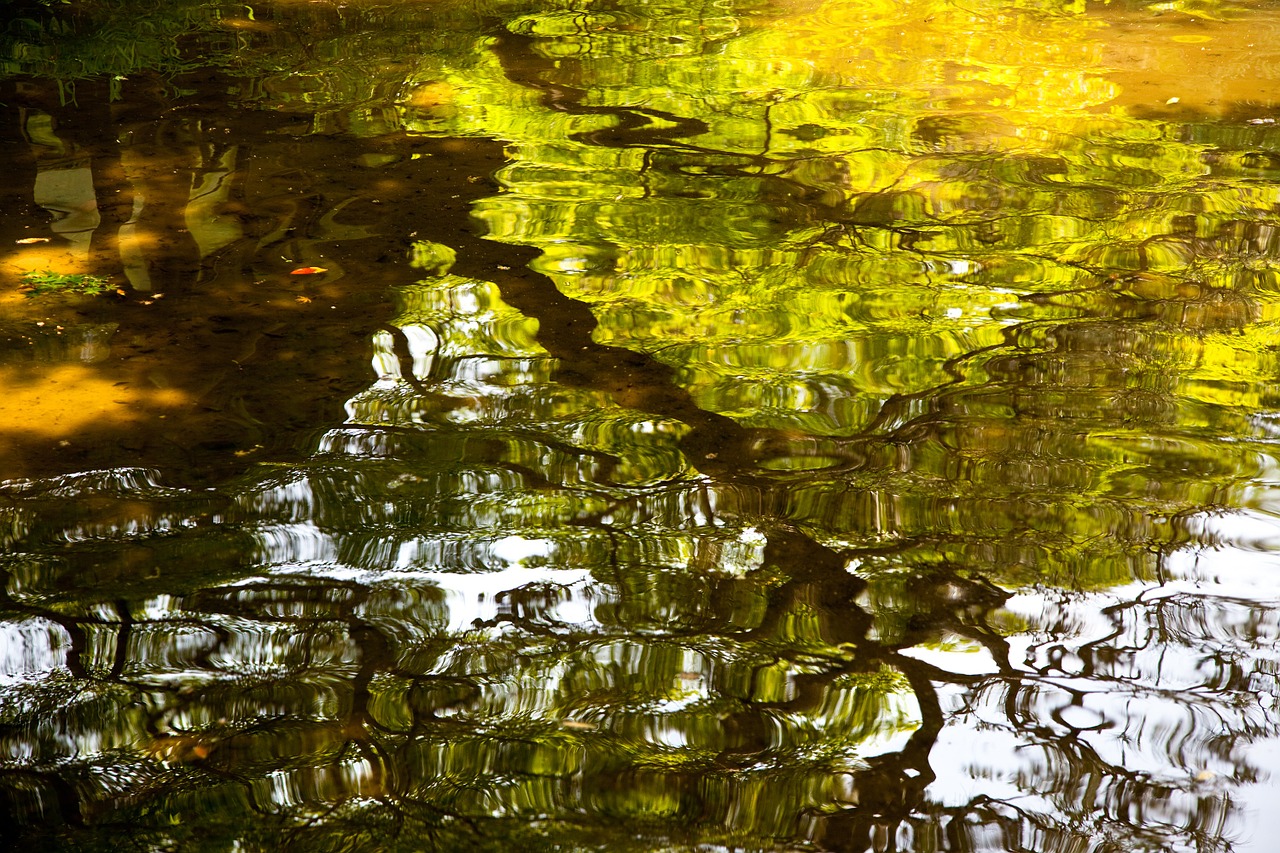 reflection water japan free photo