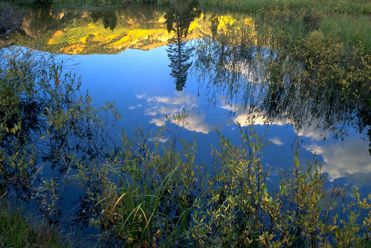 reflection water fall free photo