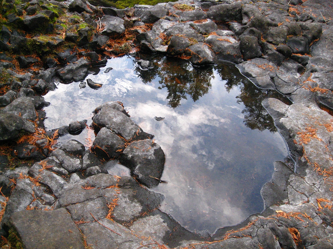 reflection puddle tide pool free photo