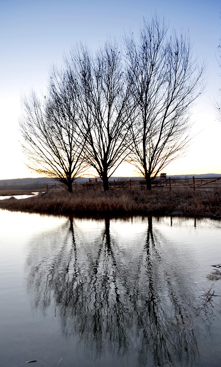 reflection pond lake free photo