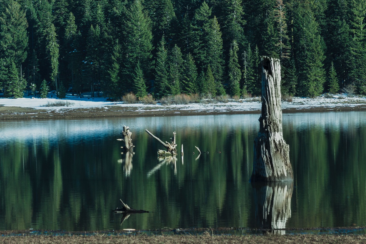 reflection water tranquil free photo