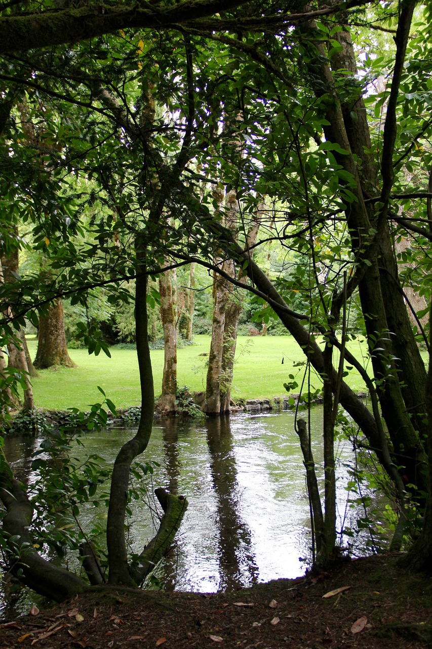 reflection calm mirror free photo