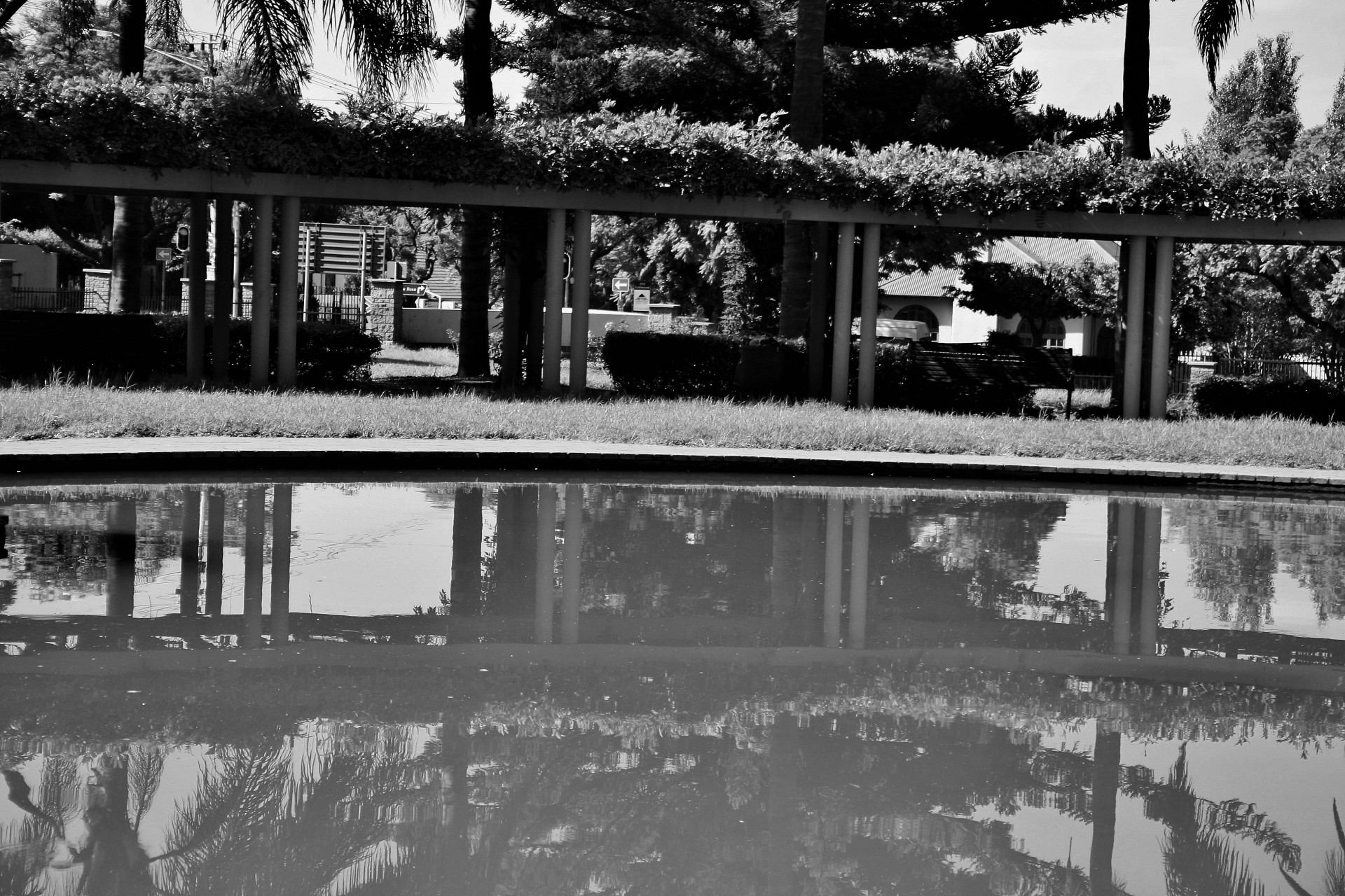 pond water reflection free photo
