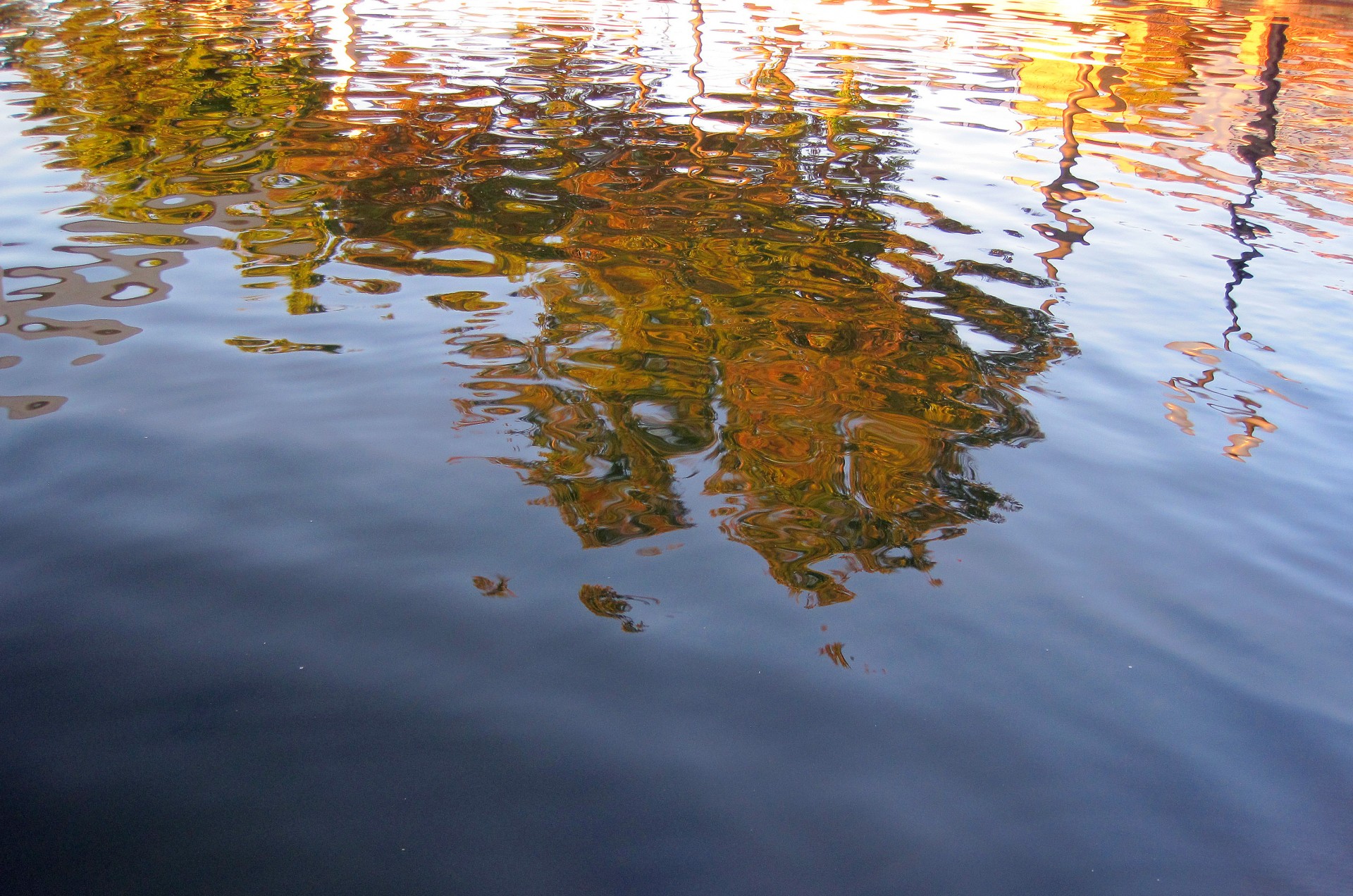 water blue ripples free photo