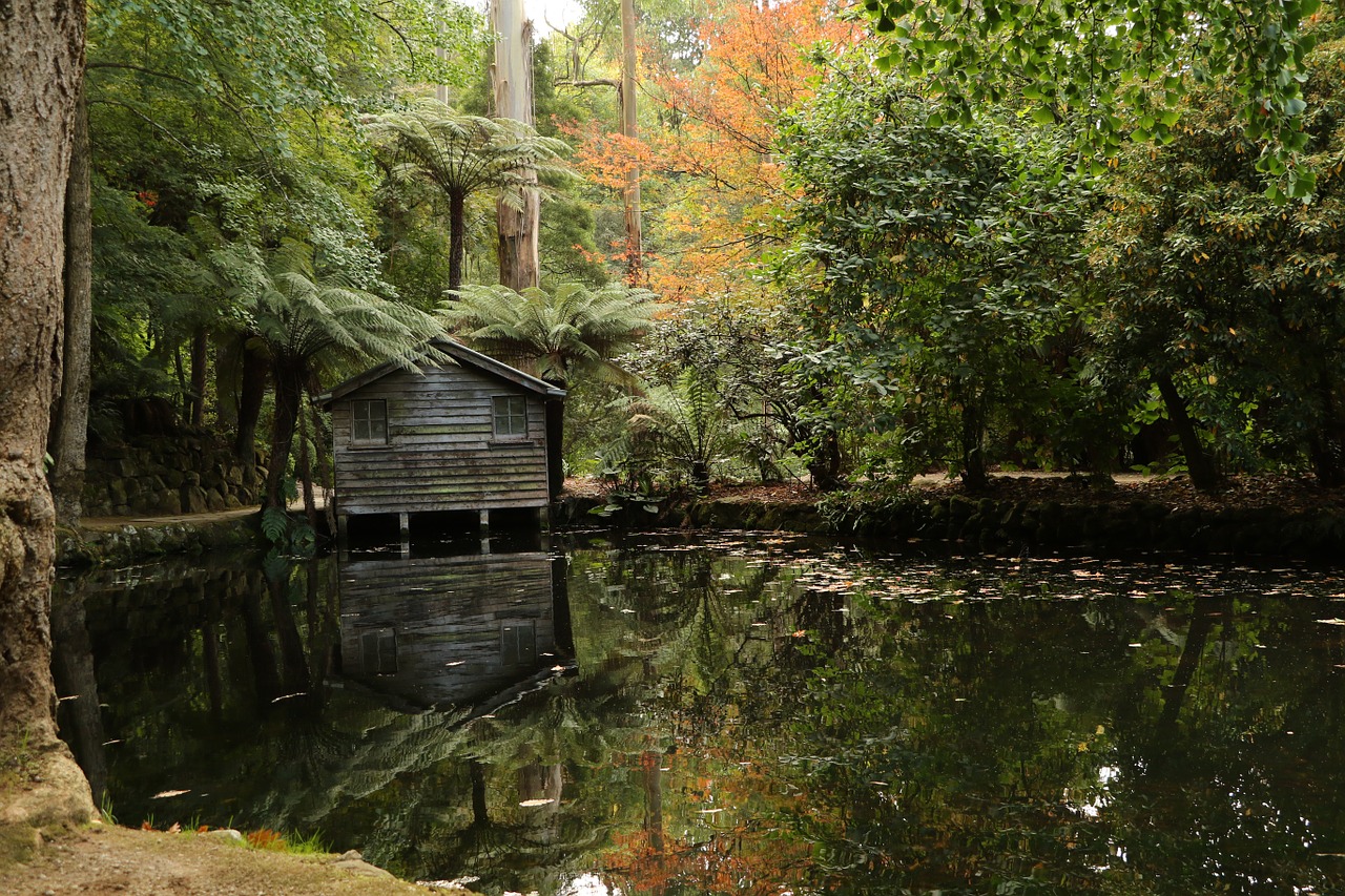 reflections pond water free photo