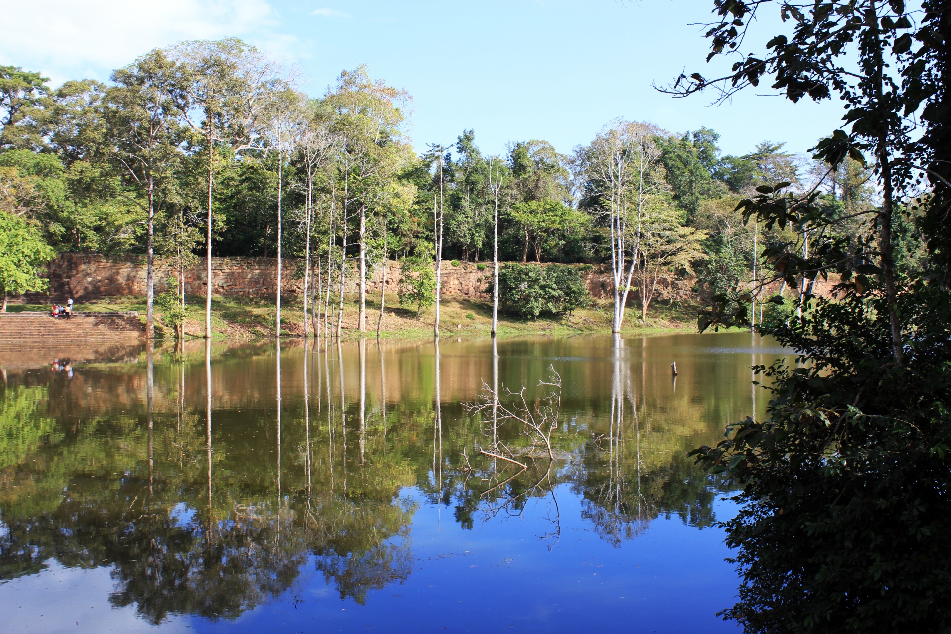 reflections nature lake free photo