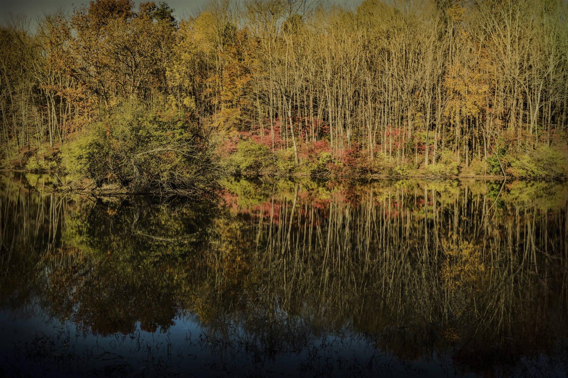 reflections lake autumn free photo