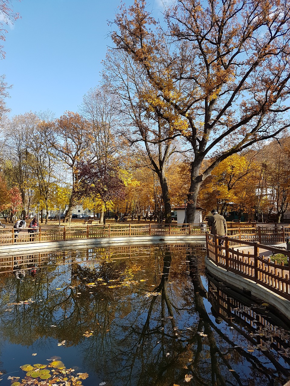 reflections in water landscape autumn free photo