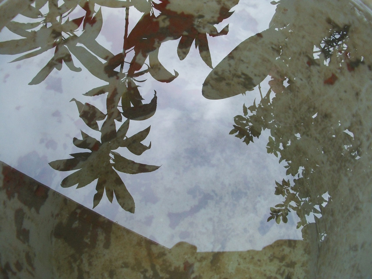 reflection water container free photo