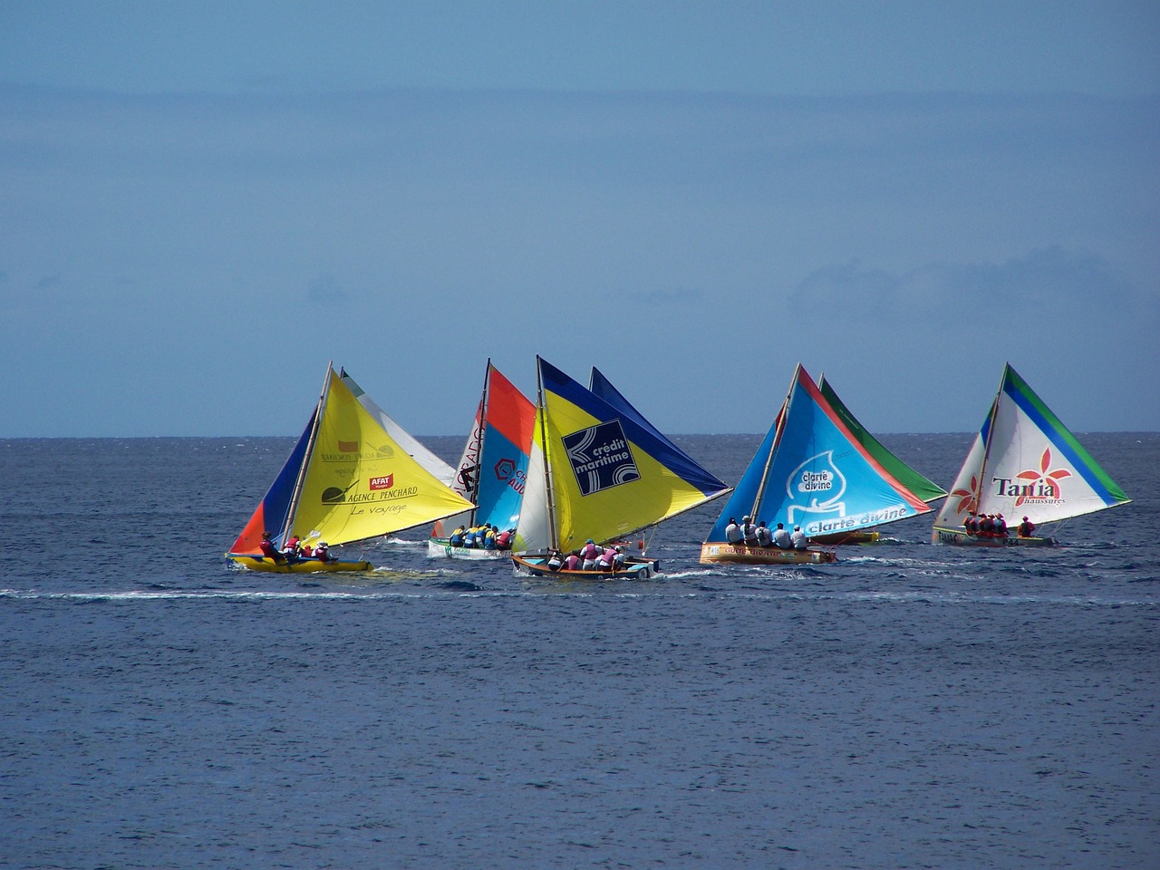 regatta guadeloupe boats free photo