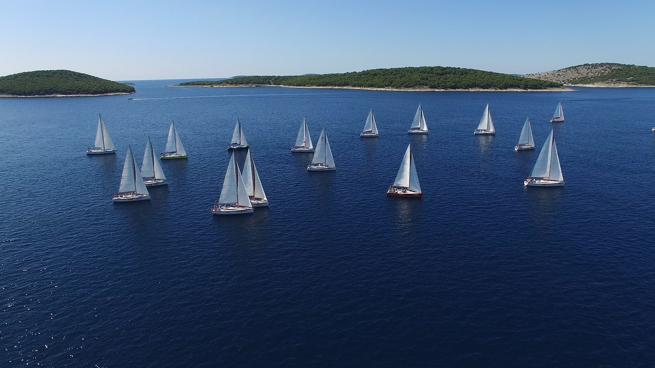 regatta sailboats yachts free photo