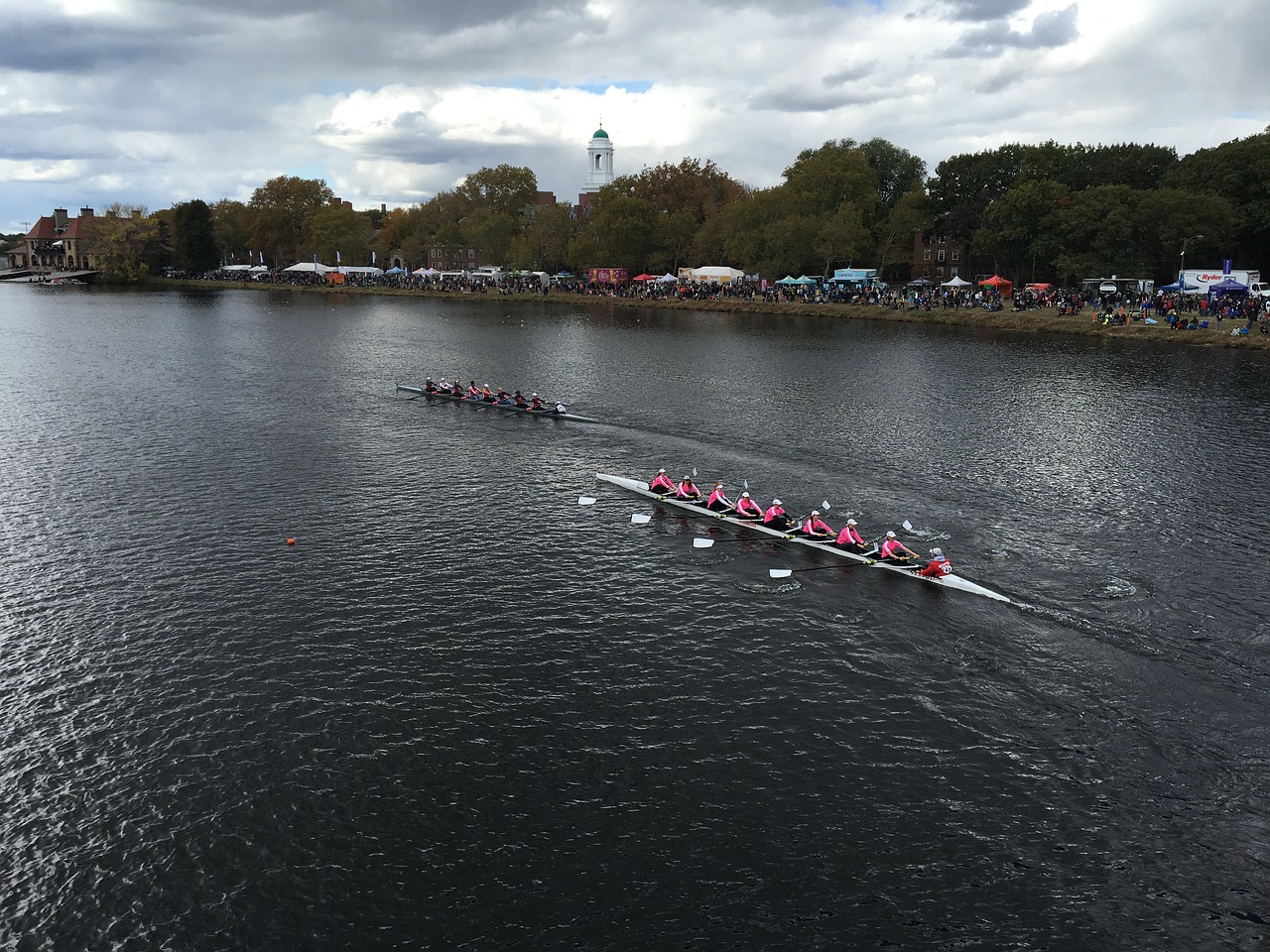 regatta rowing race free photo