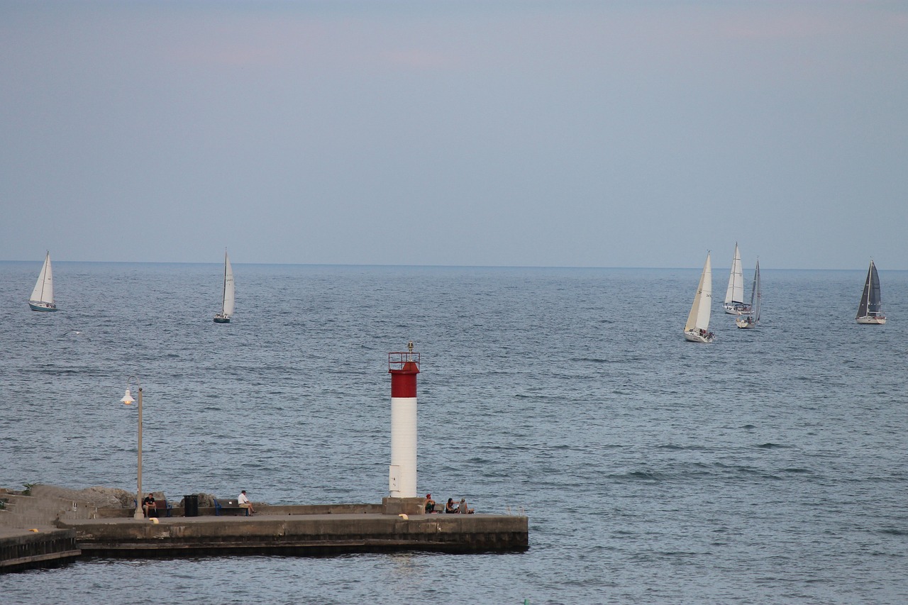 regatta sailing marine free photo