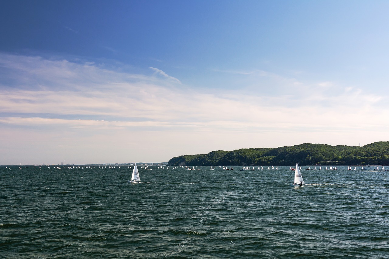 regatta  sailboat  sailing free photo