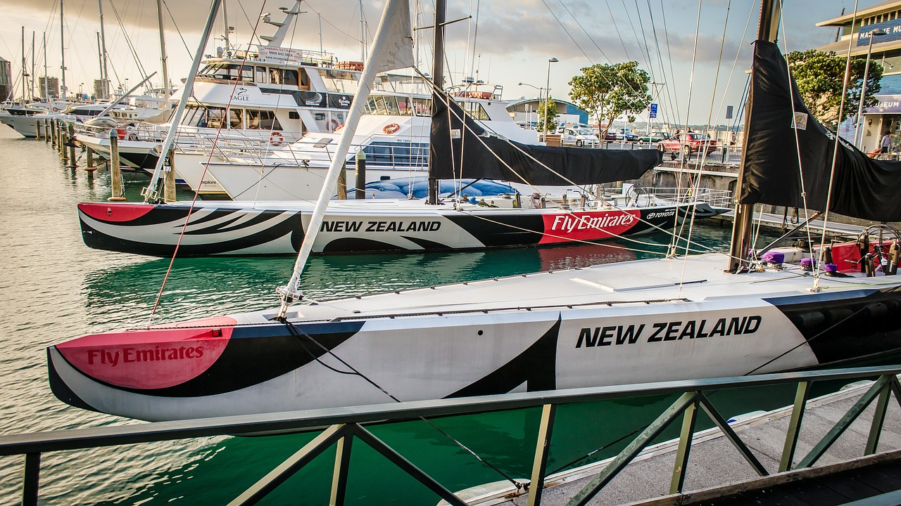 regatta sailboat new zealand free photo