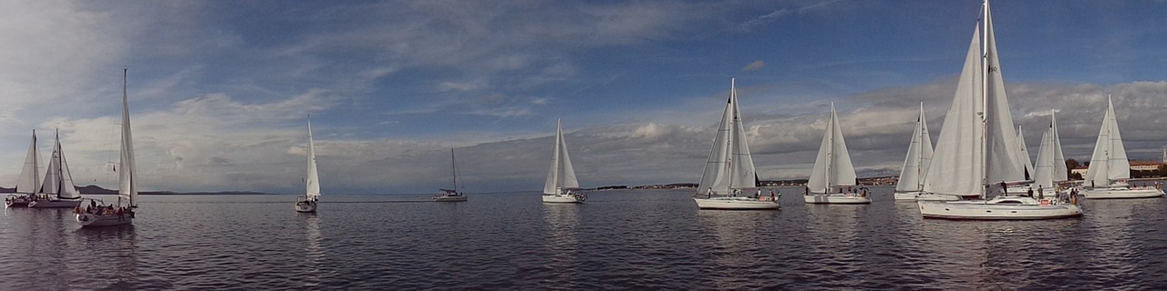 regatta start sail free photo