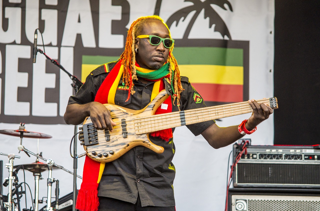 reggae musician concert free photo