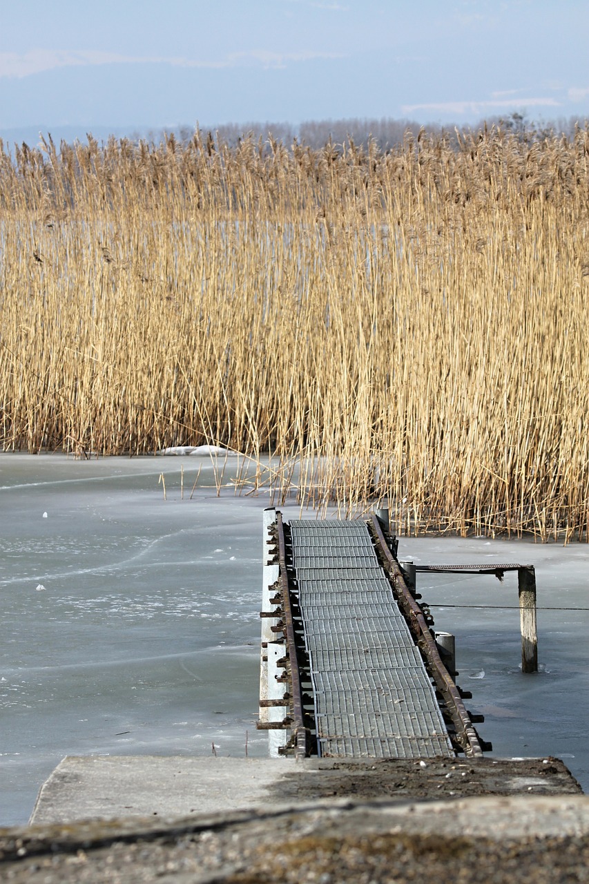 region of lake murten water lake free photo