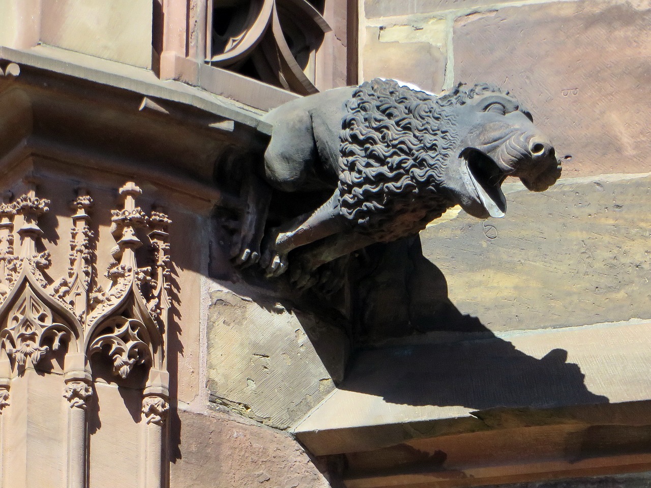 rstrasbourg alsace cathedral free photo