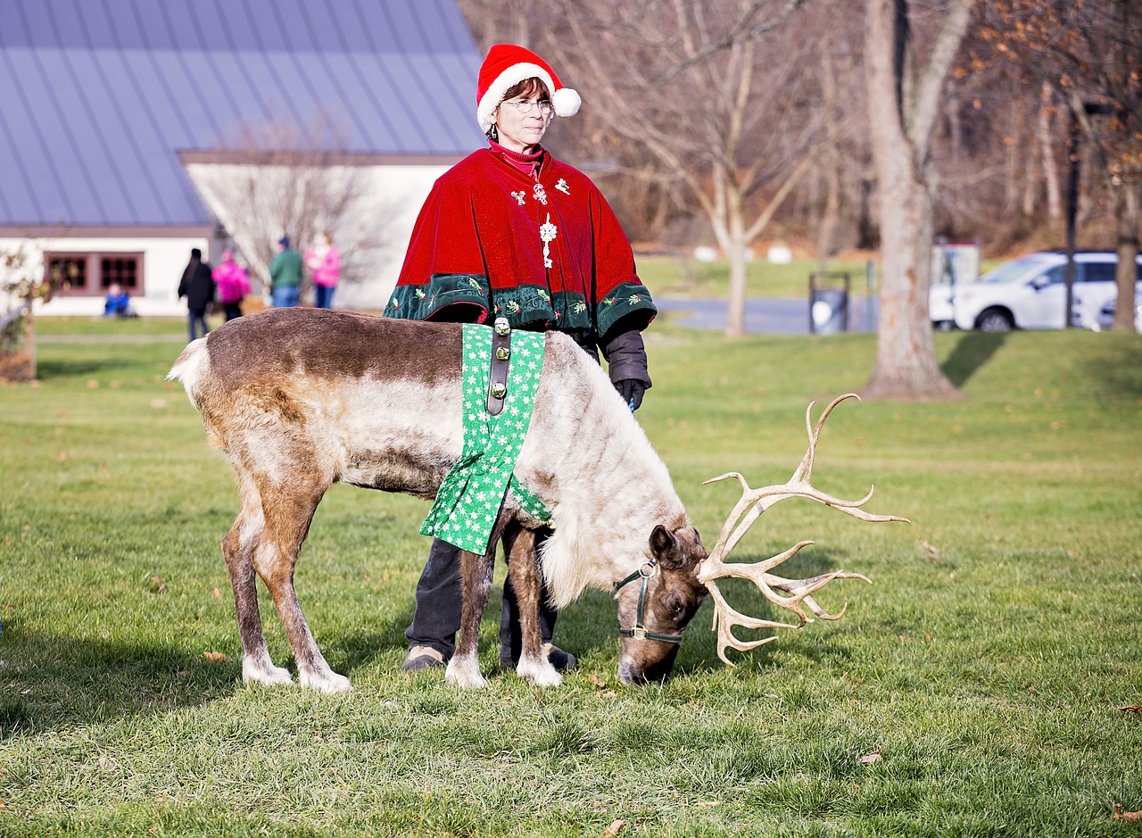 reindeer christmas santa claus free photo