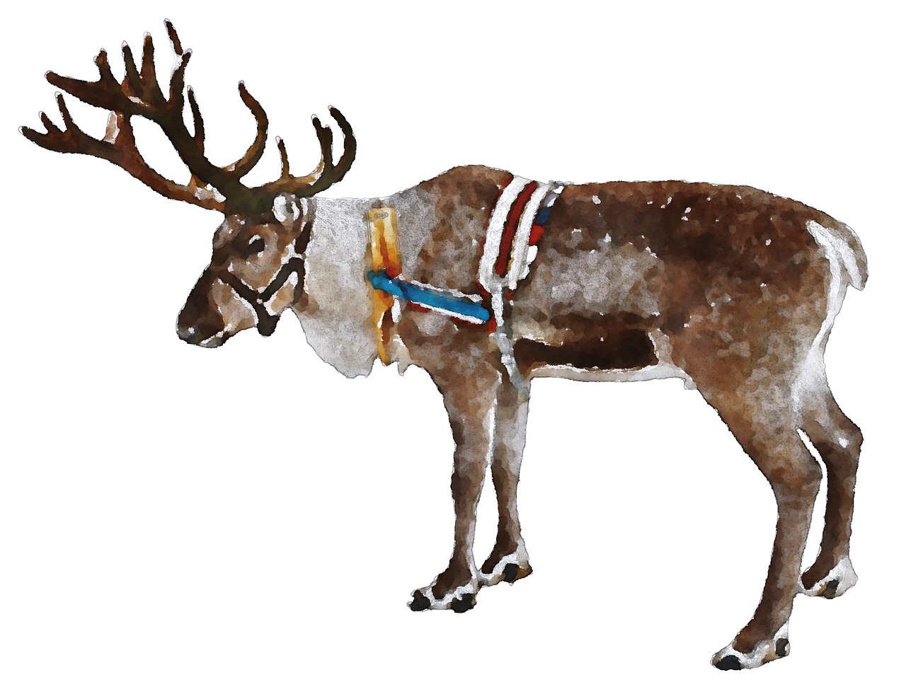 reindeer christmas watercolor free photo
