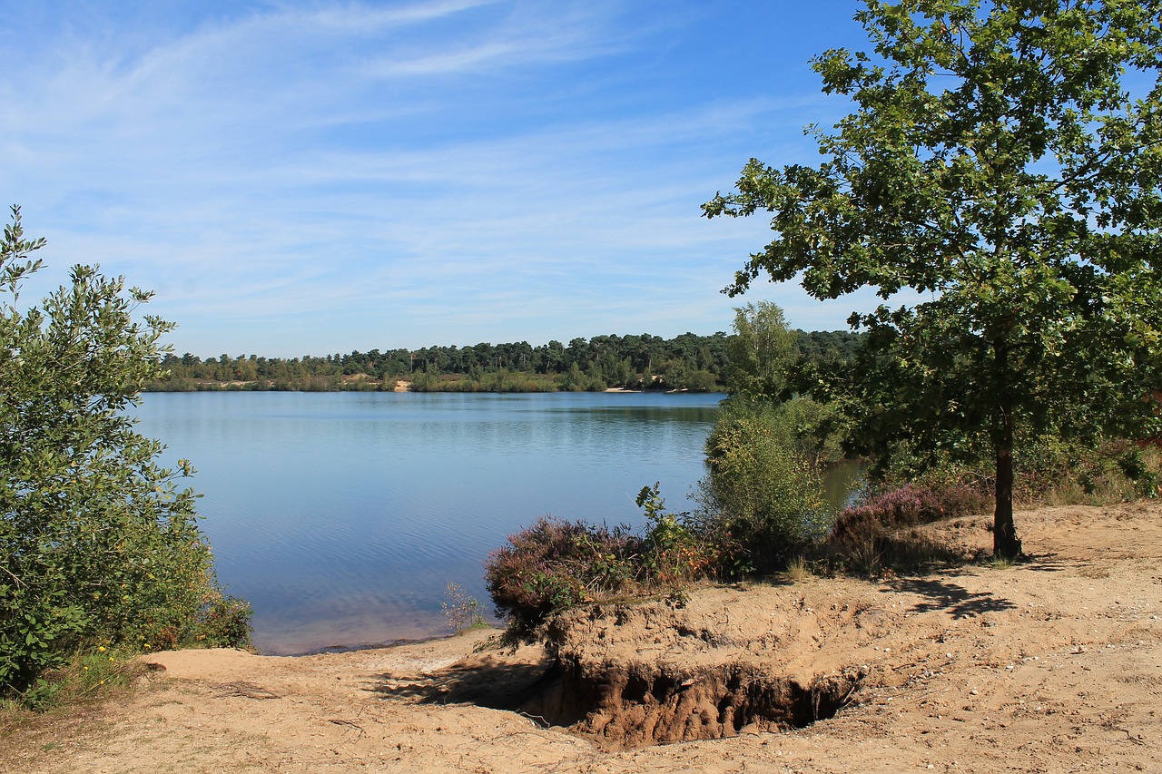 reindersmeer maasduinen netherlands free photo