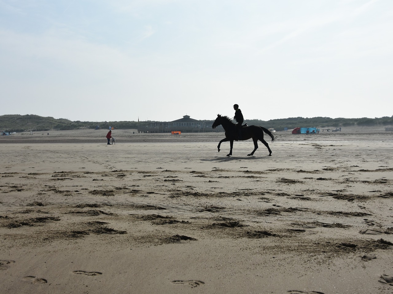 reiter sand beach gallop free photo