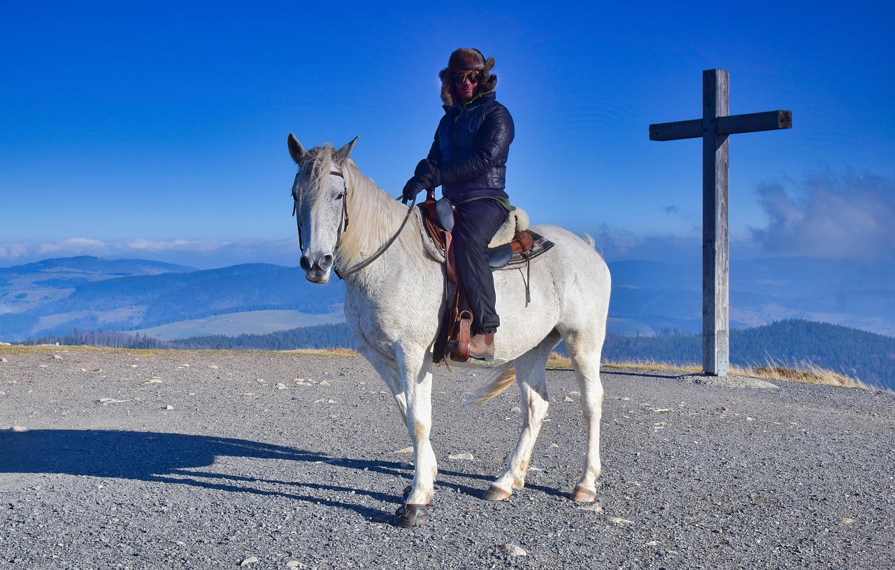 reiter  horse  landscape free photo