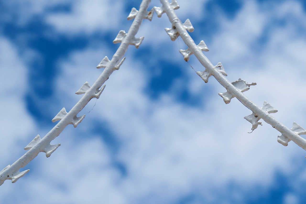 relationship draw barbed wire free photo