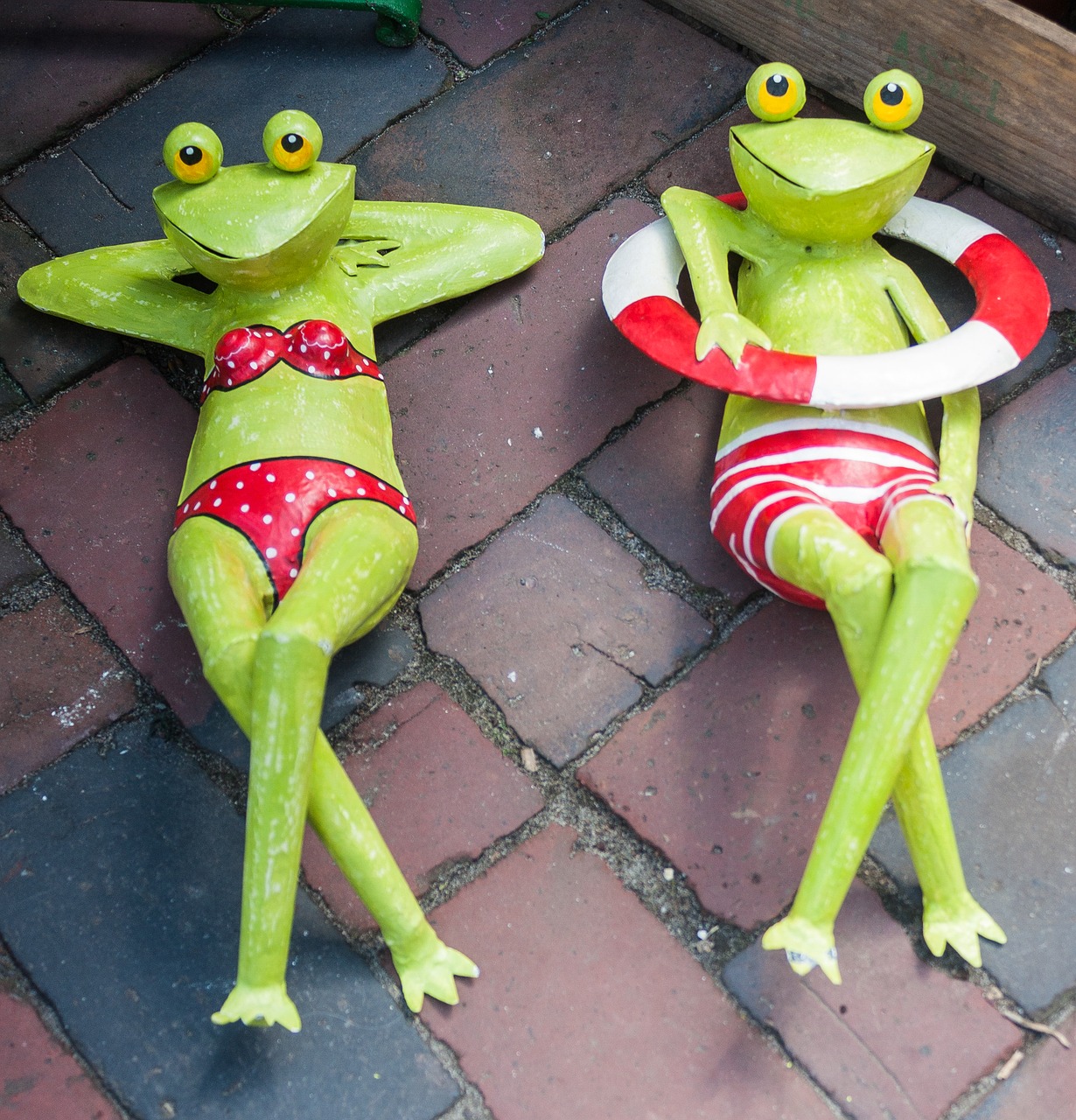 relax frog serenity free photo