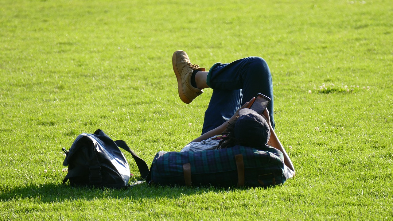 relaxing  park  summer free photo