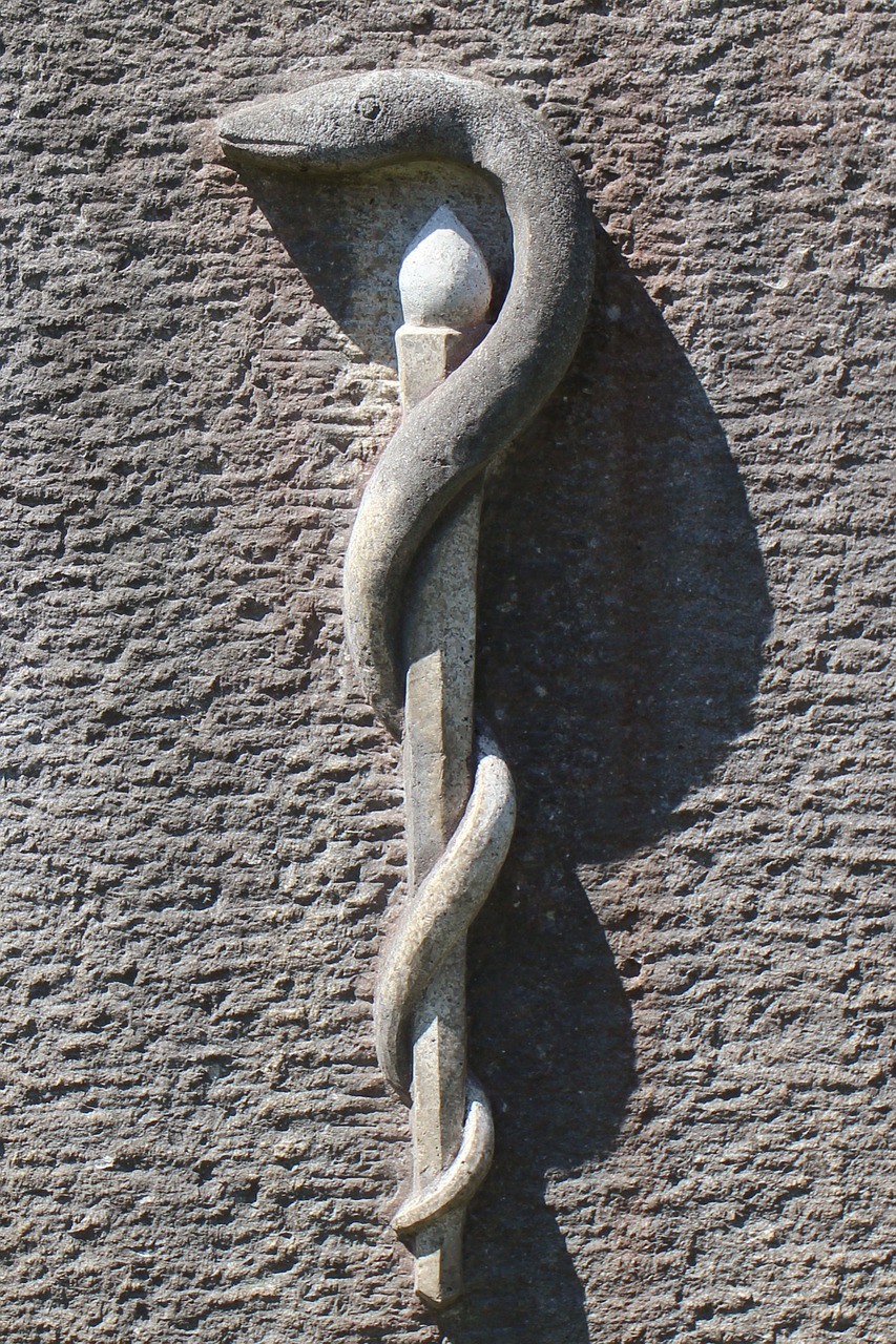 relief symbol rod free photo