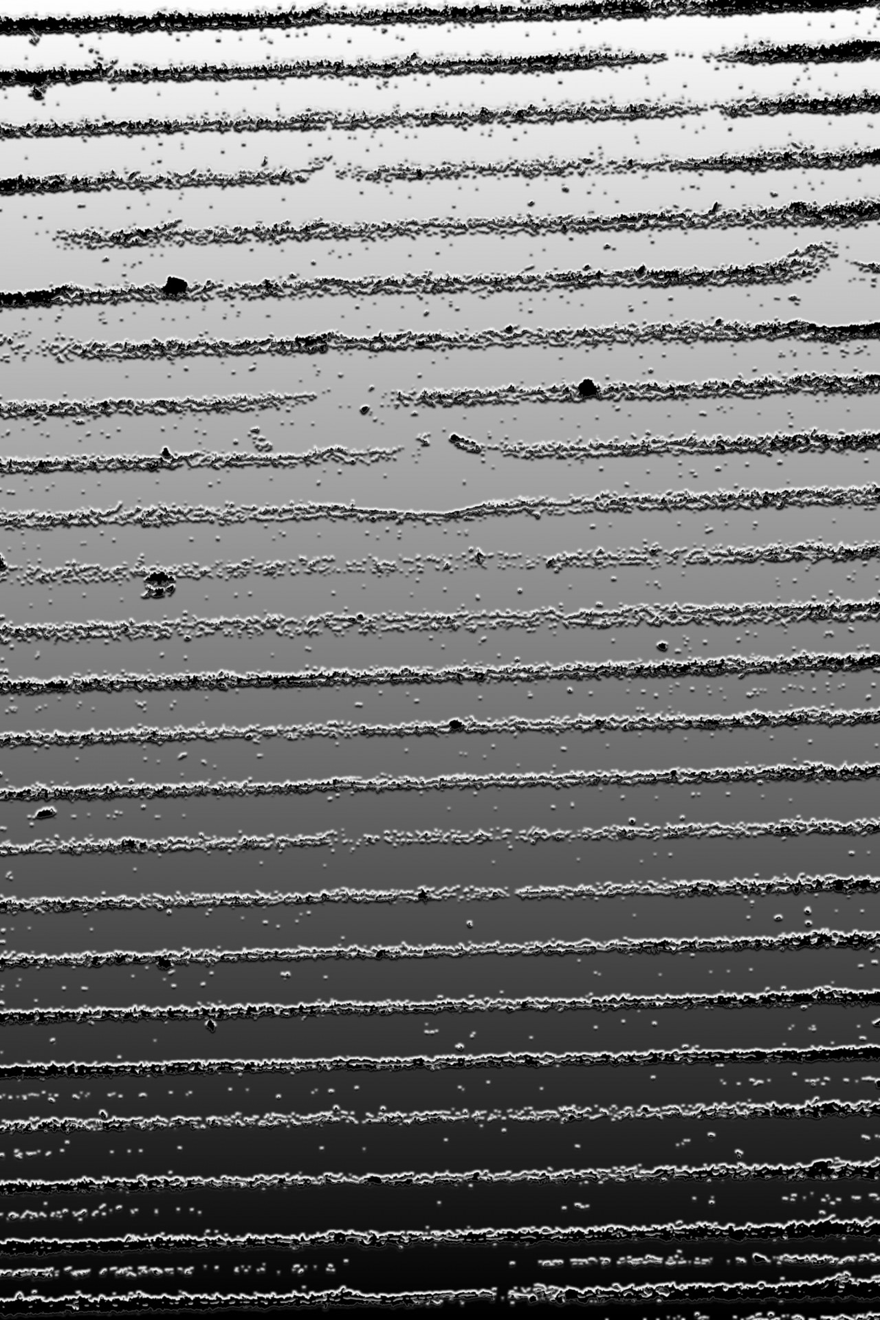 lines relief surface free photo