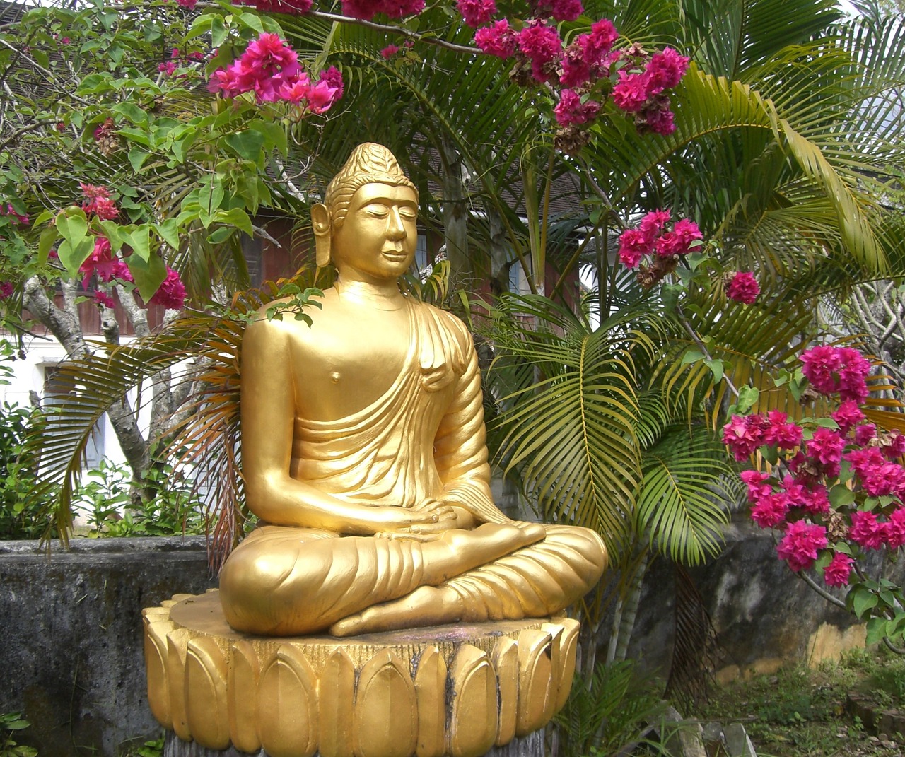 religion faith buddha free photo