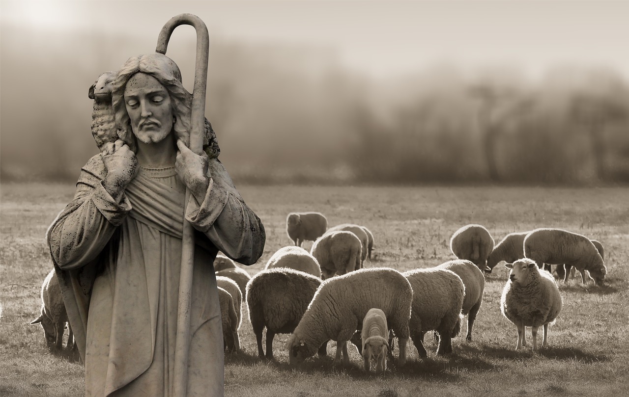 religion  faith  shepherd free photo
