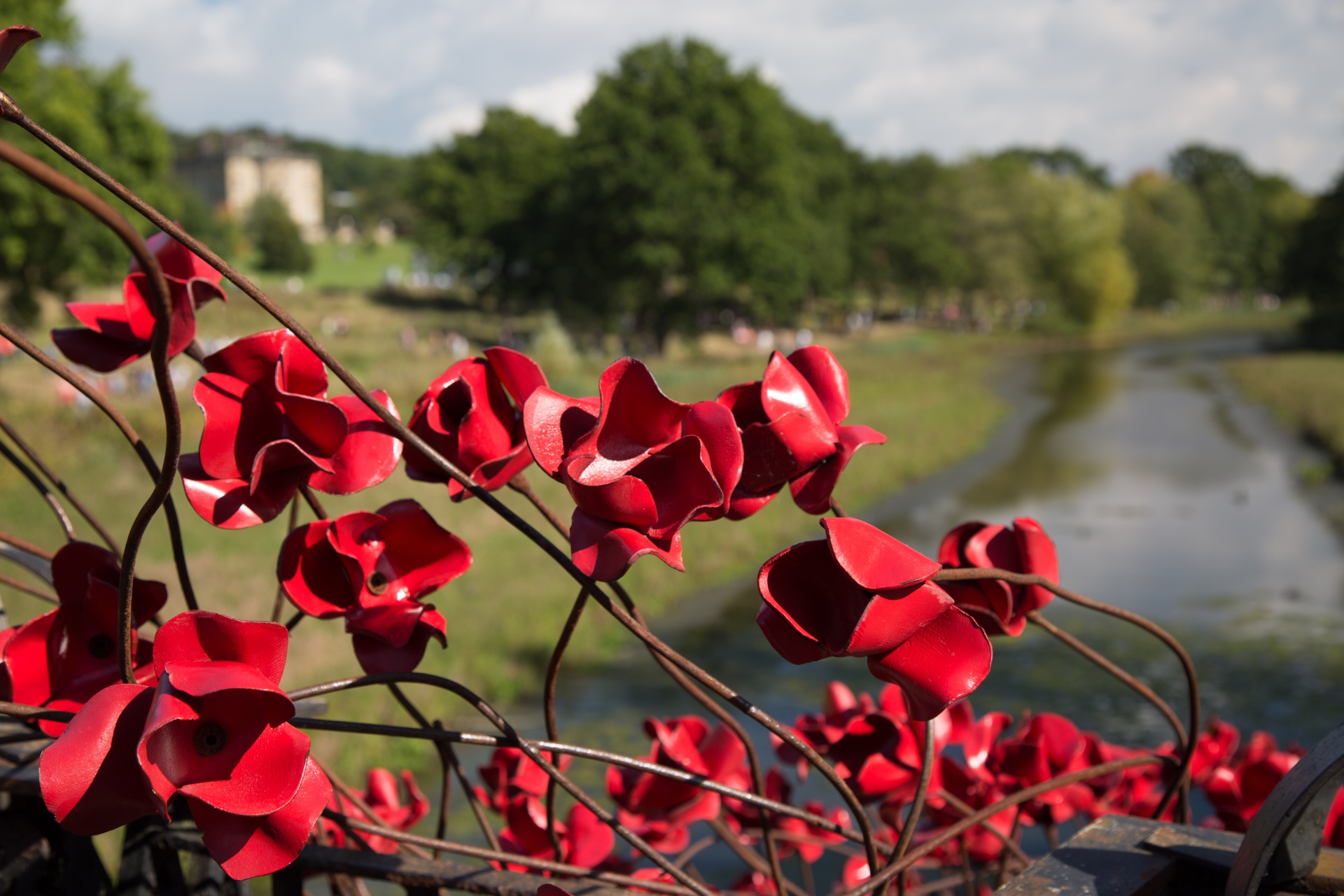 day anzac remembrance free photo