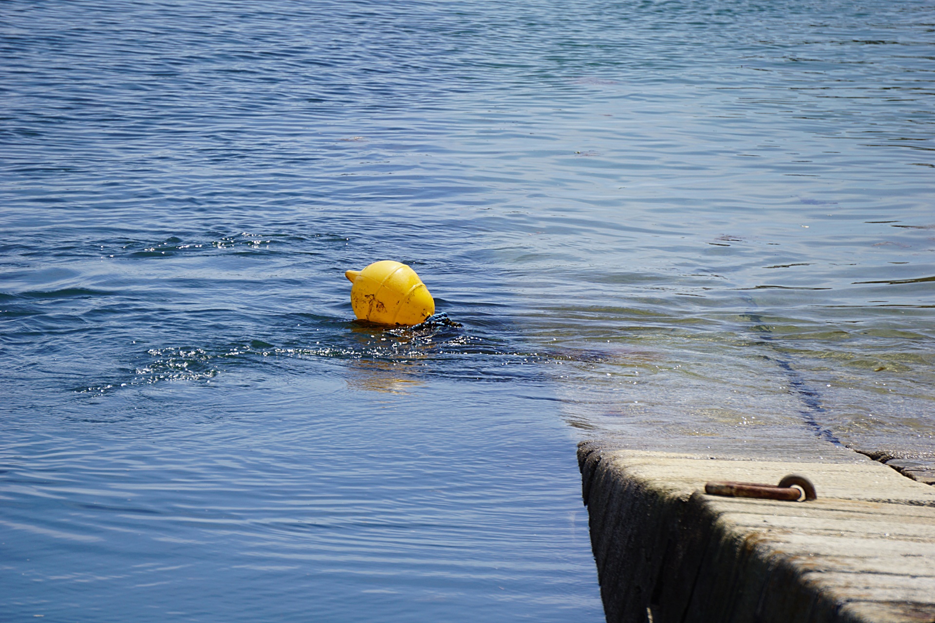 buoy beacon sea free photo