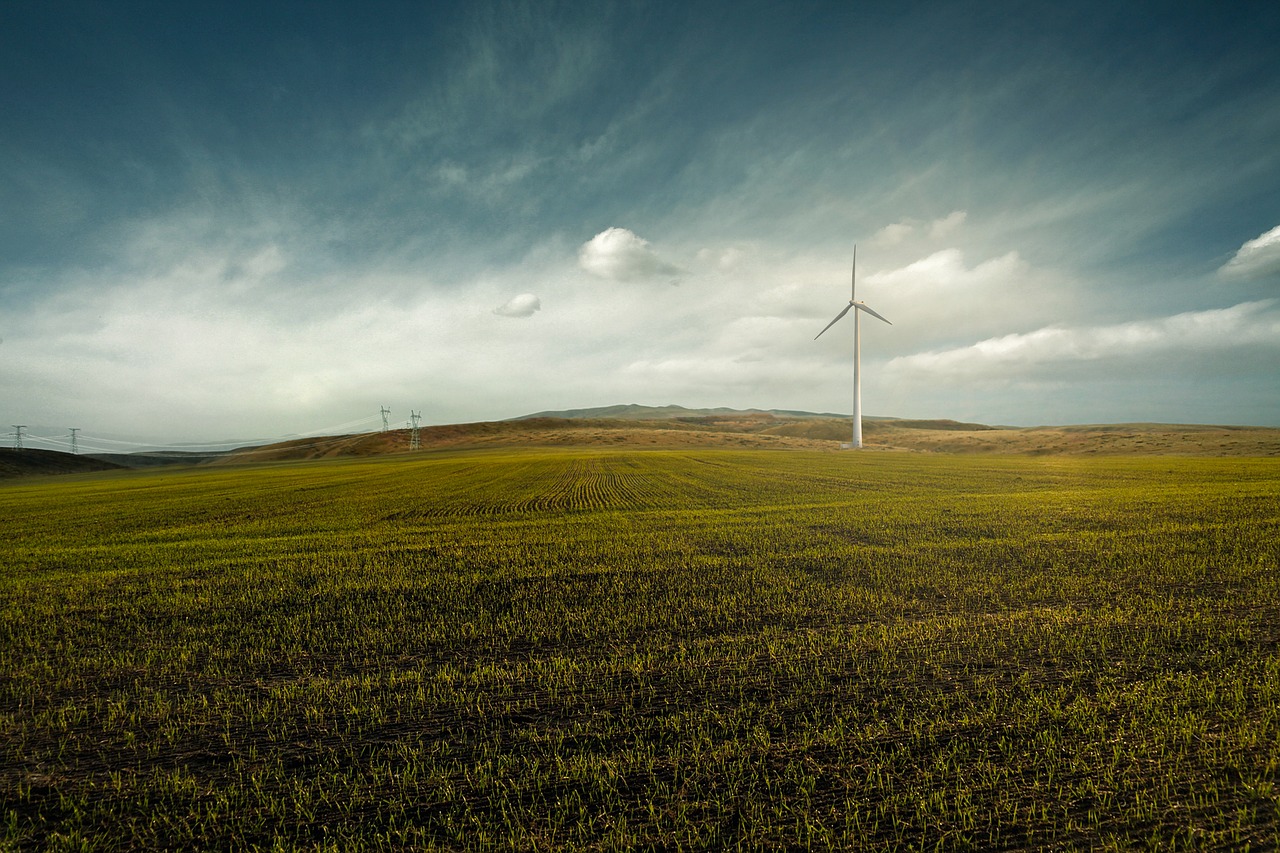 renewable energy  wind power  current free photo