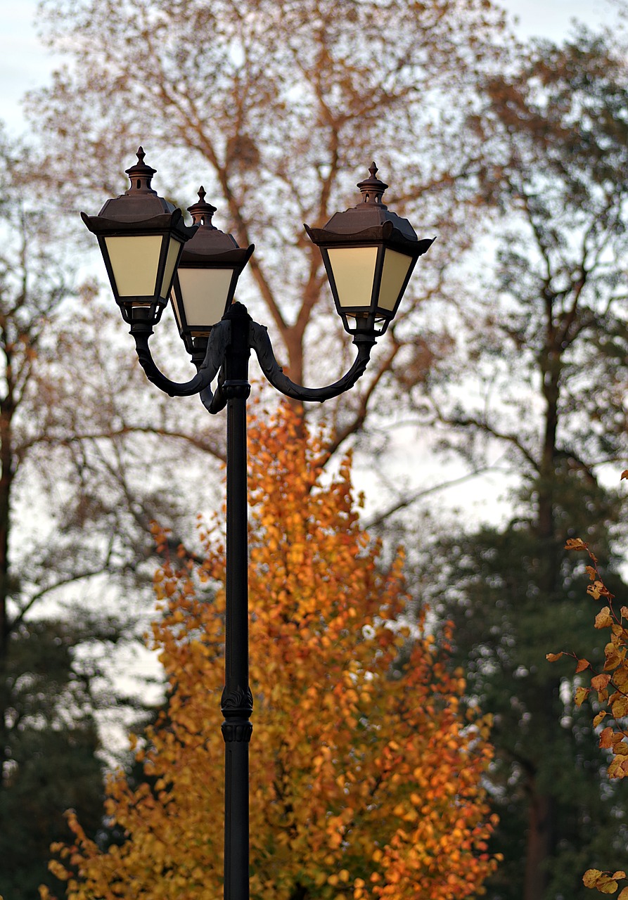 replacement lamp antique autumn free photo