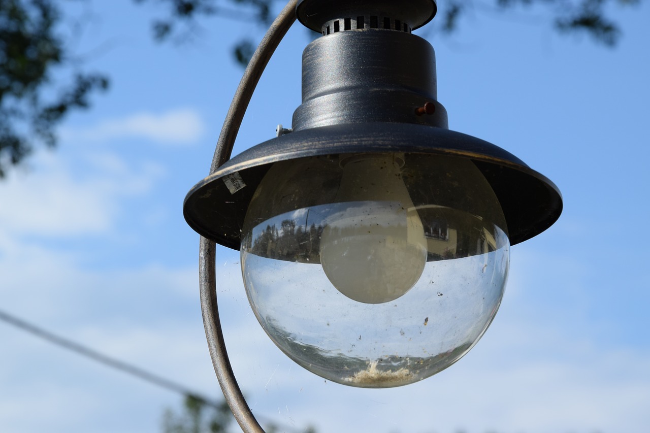 replacement lamp  backyard  the light bulb free photo