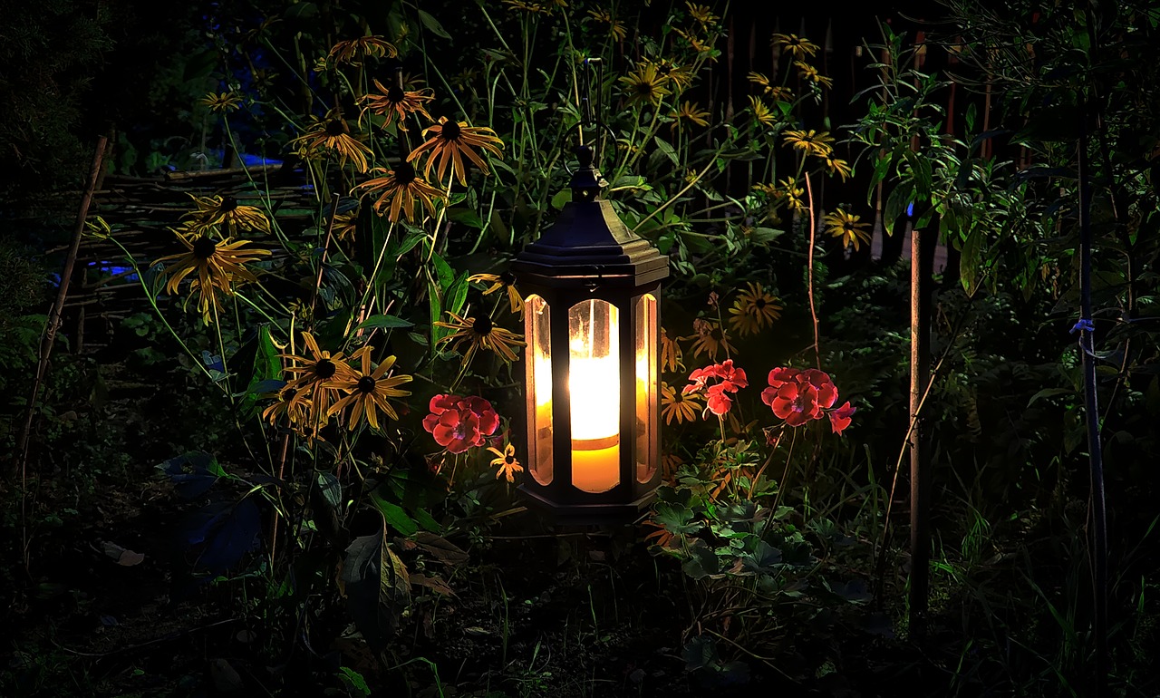 replacement lamp  flowers  evening free photo