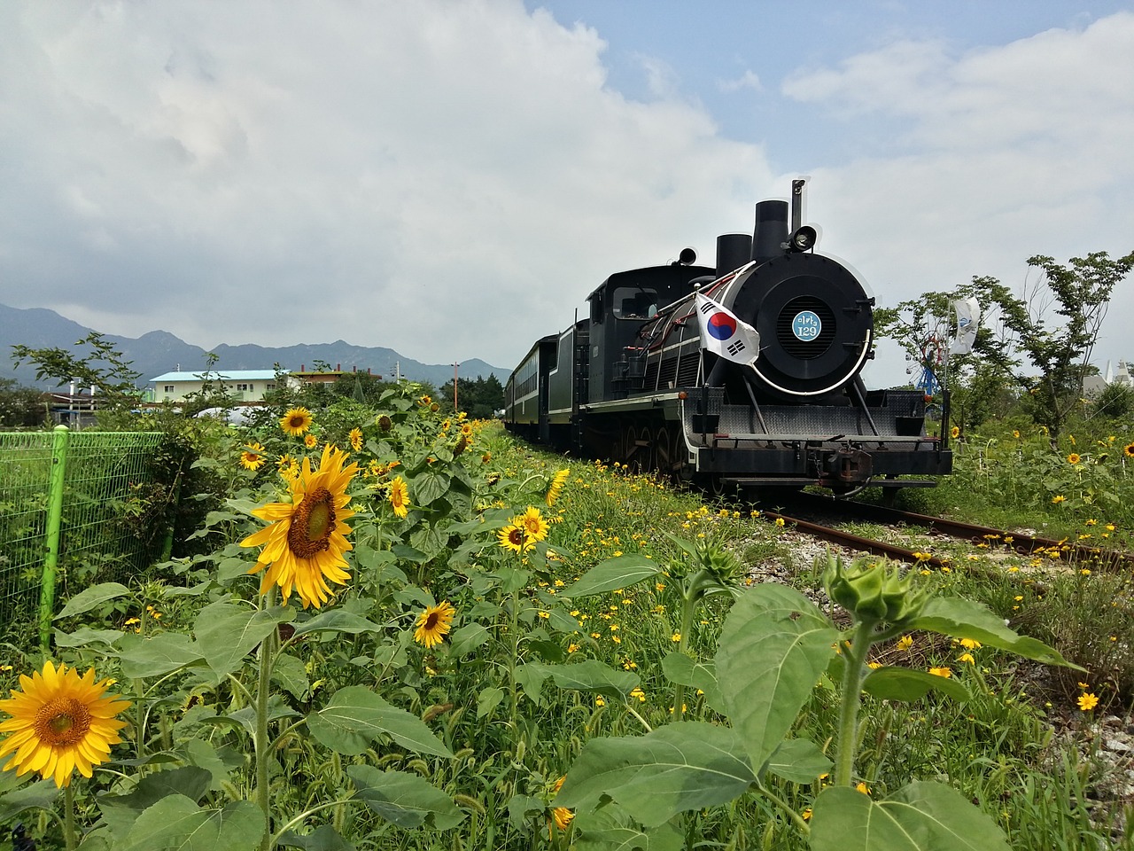 republic of korea steam locomotive train free photo