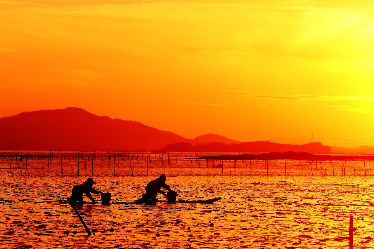 republic of korea glow suncheon bay free photo