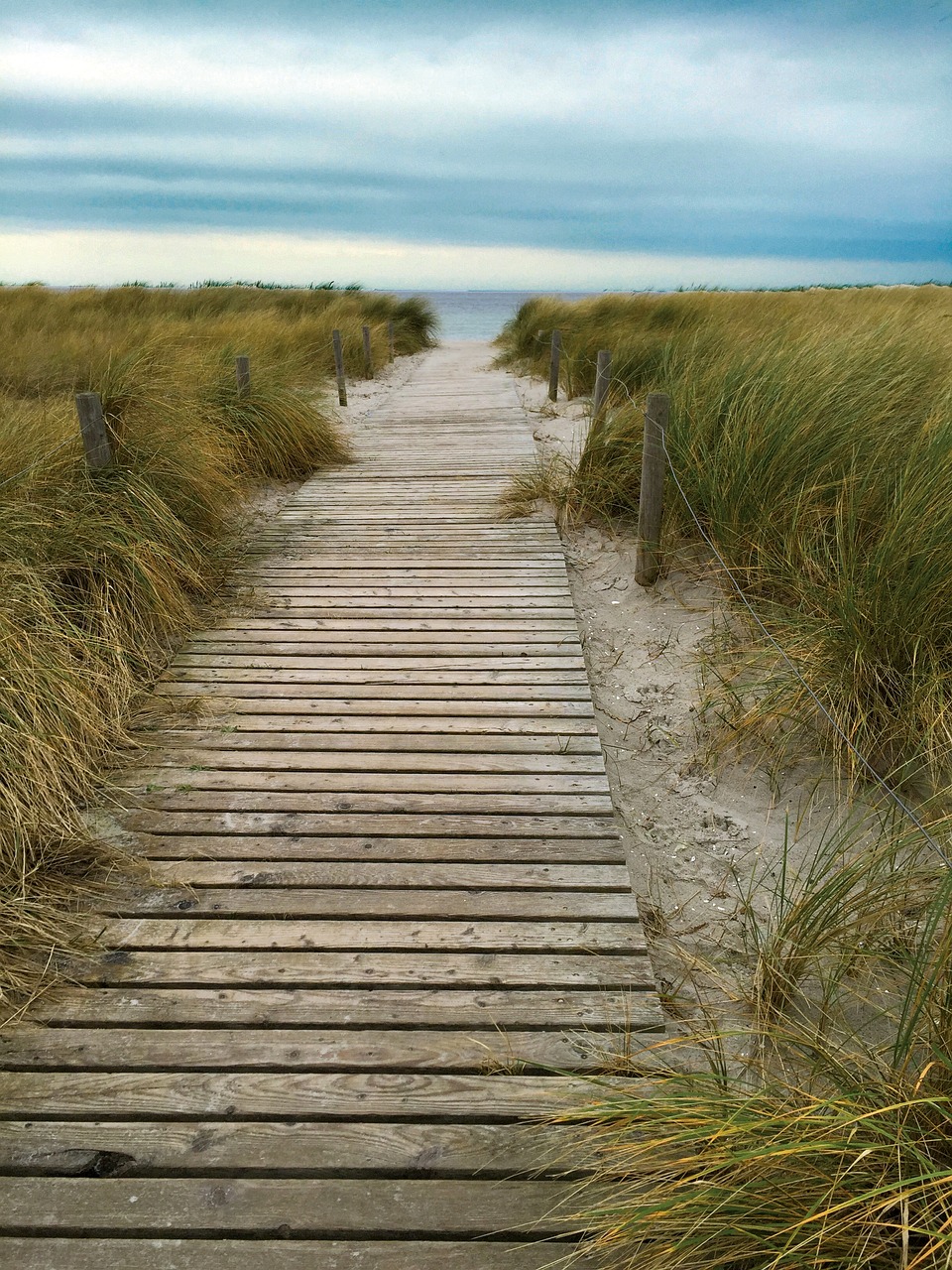 rerik to the beach dunes free photo