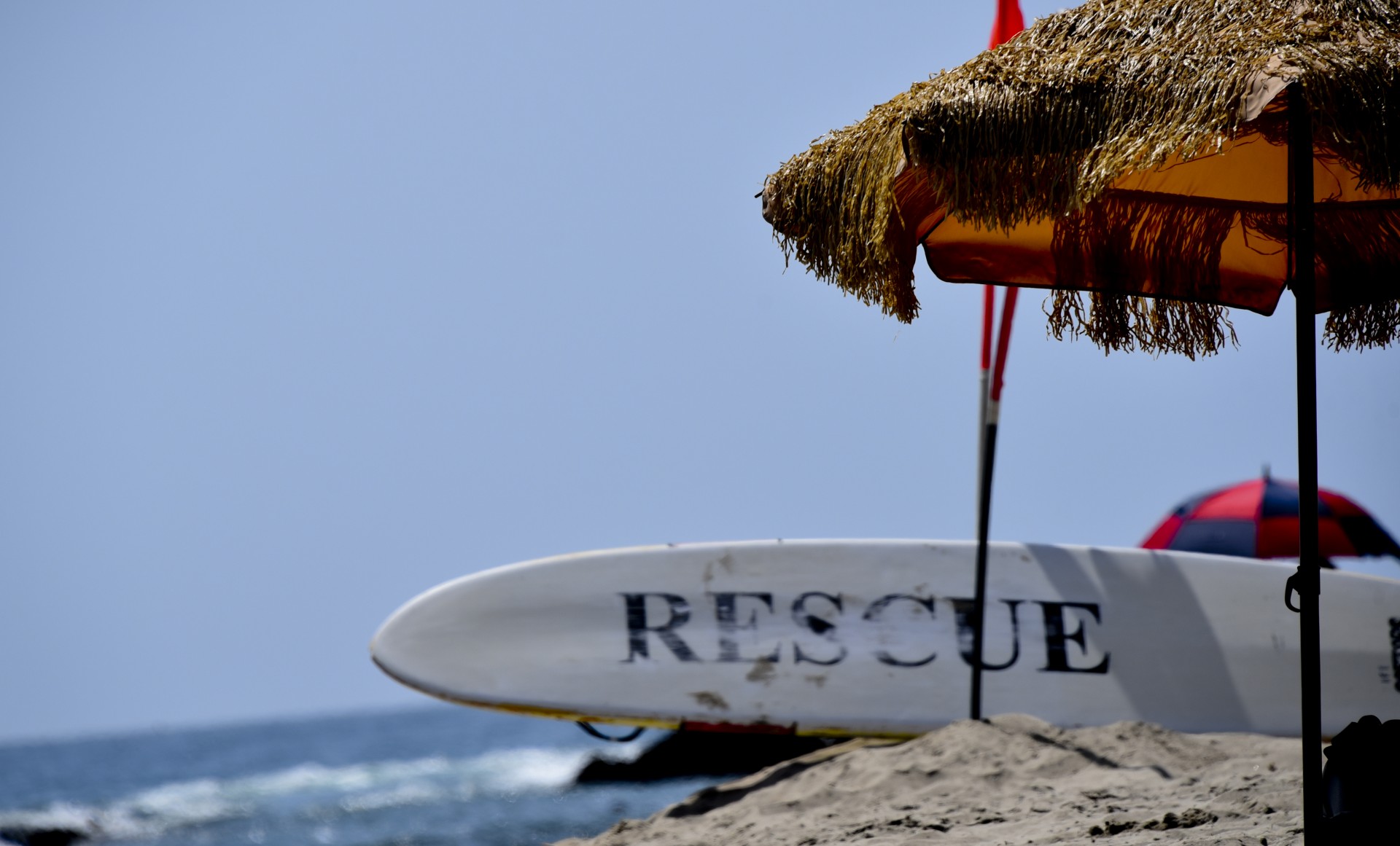 rescue ocean lifeguard free photo