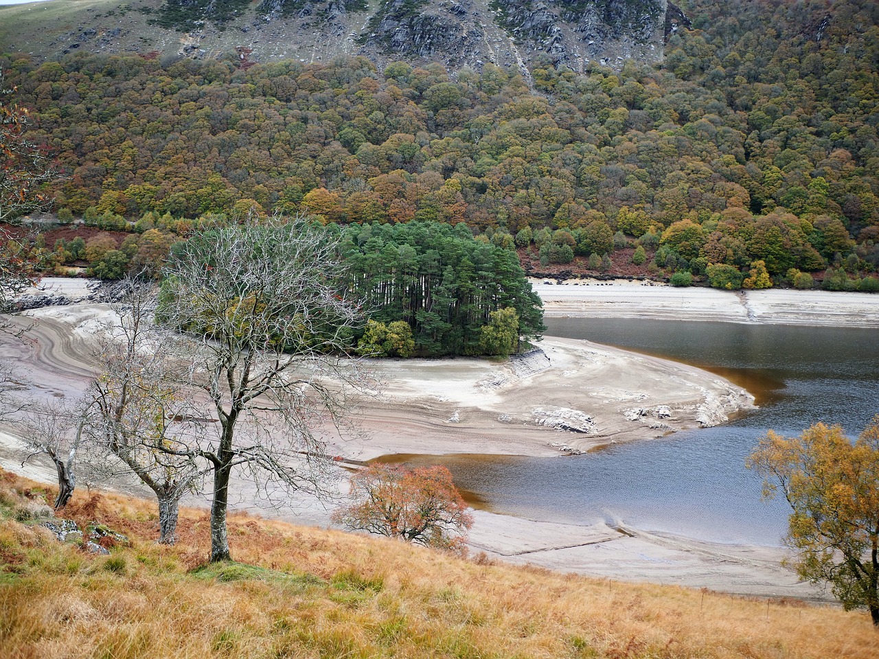 reservoir  drought  landscape free photo