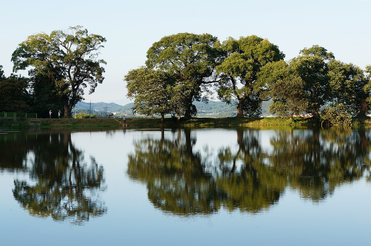 reservoir pond reflect free photo