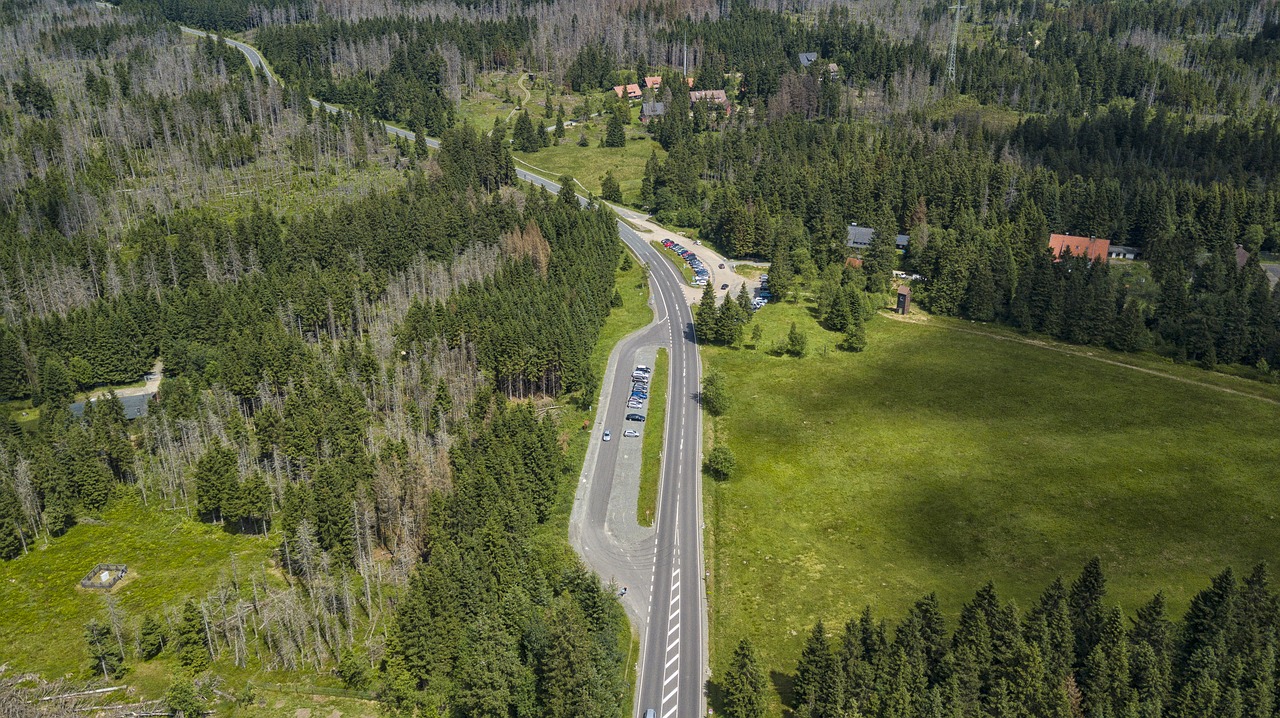 resin road forest free photo