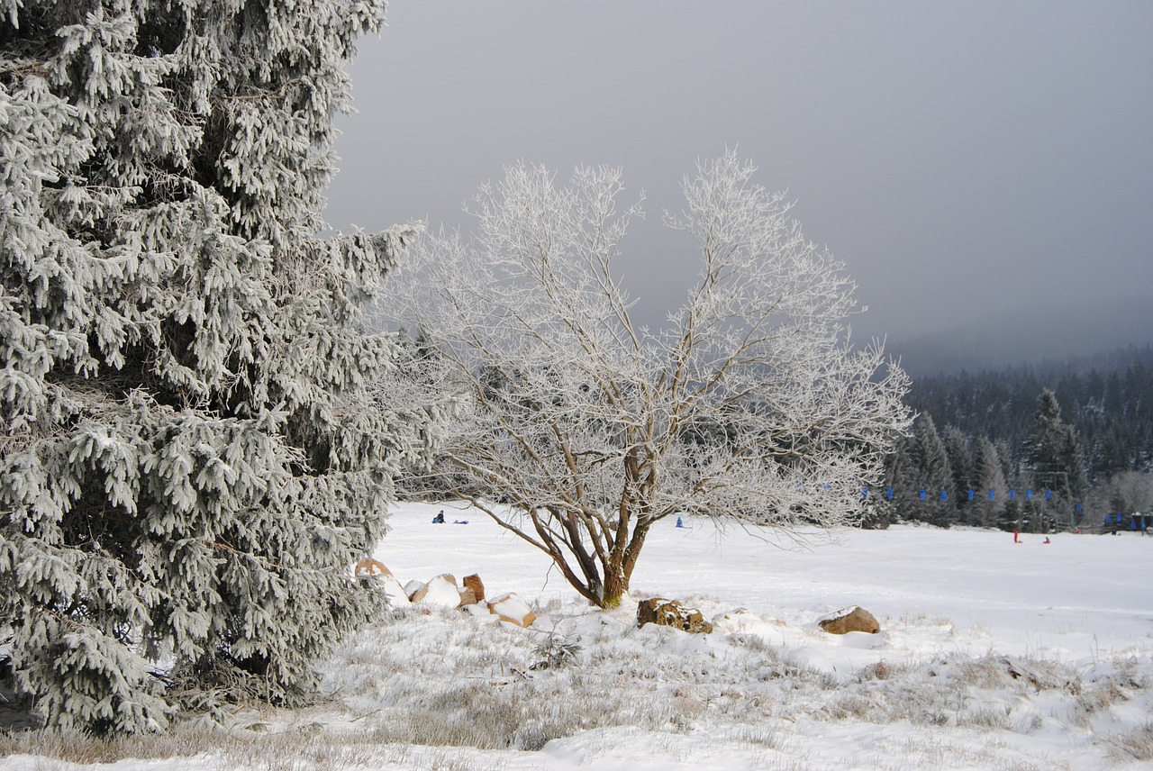 resin torfhaus winter free photo