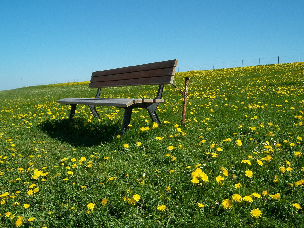 rest loneliness silent free photo